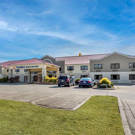 Comfort Inn & Suites Leeds I-20 מראה חיצוני תמונה