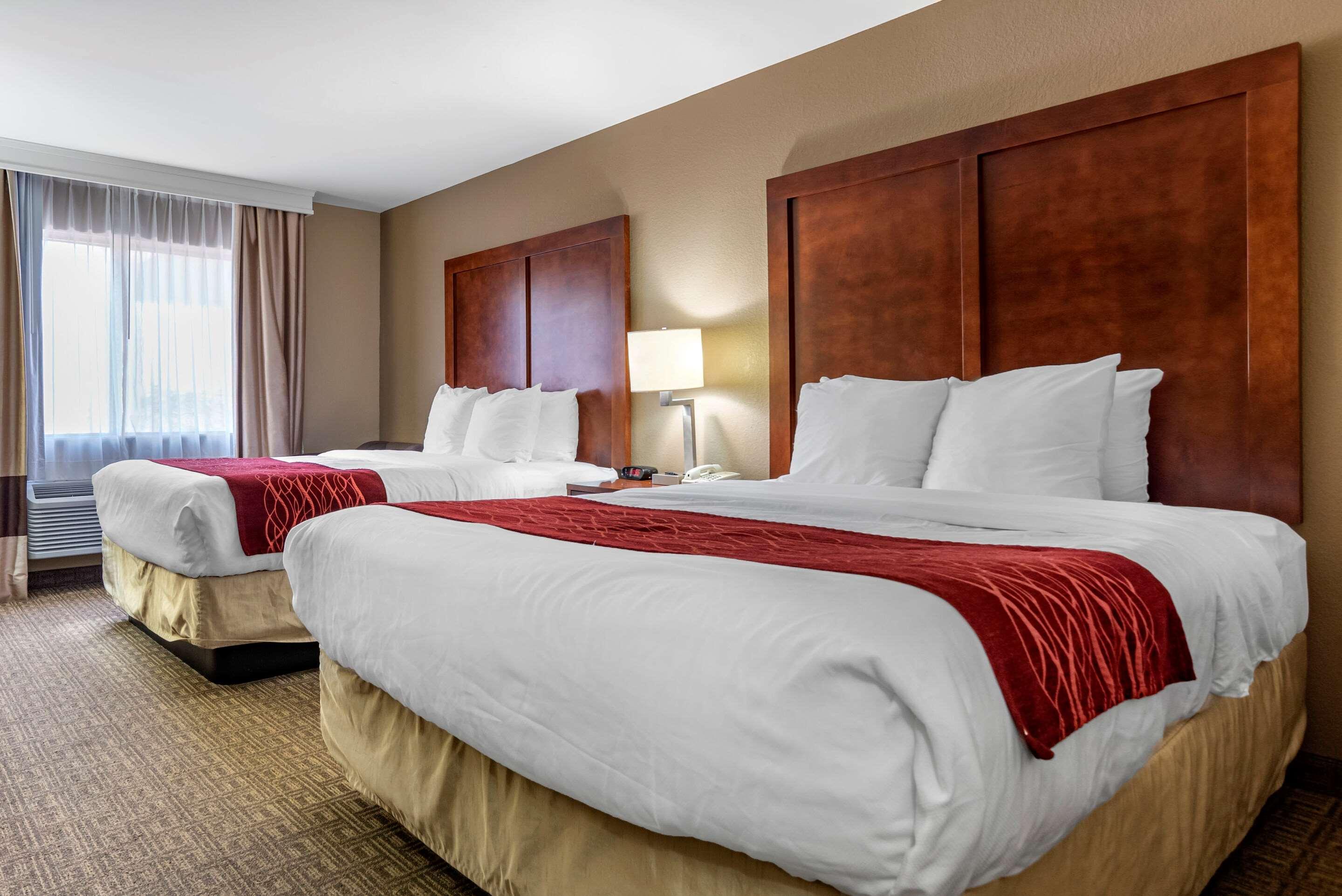 Comfort Inn & Suites Leeds I-20 מראה חיצוני תמונה