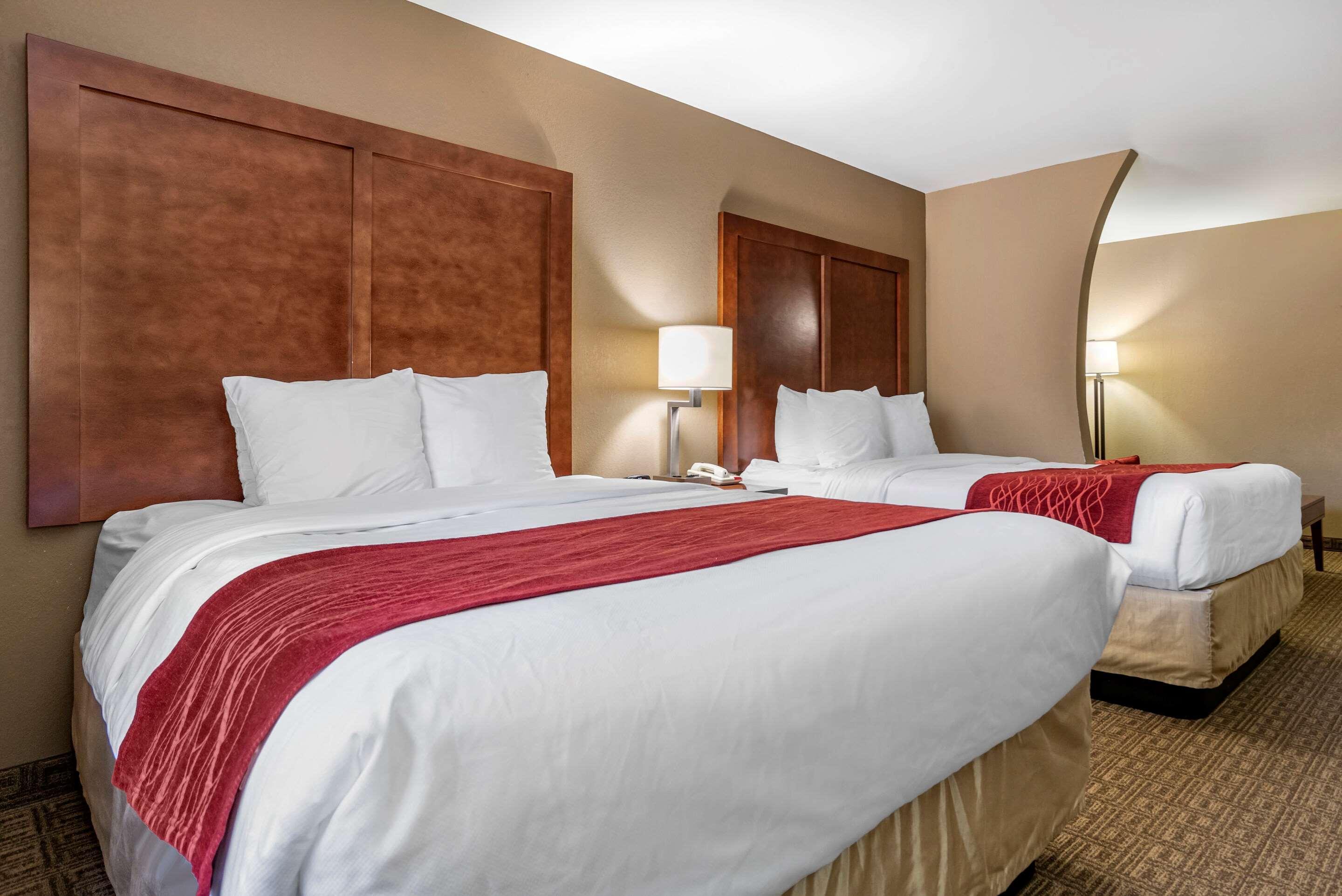 Comfort Inn & Suites Leeds I-20 מראה חיצוני תמונה